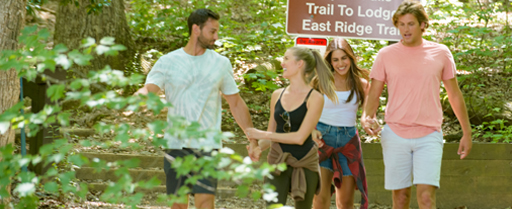 Amicalola Falls Offer Image (512x209)