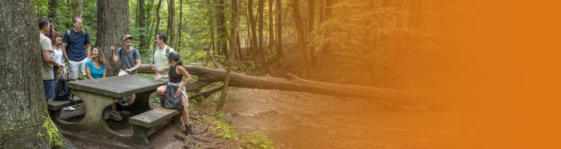 Slideshow Slide Unicoi State Park (1920x512px)
