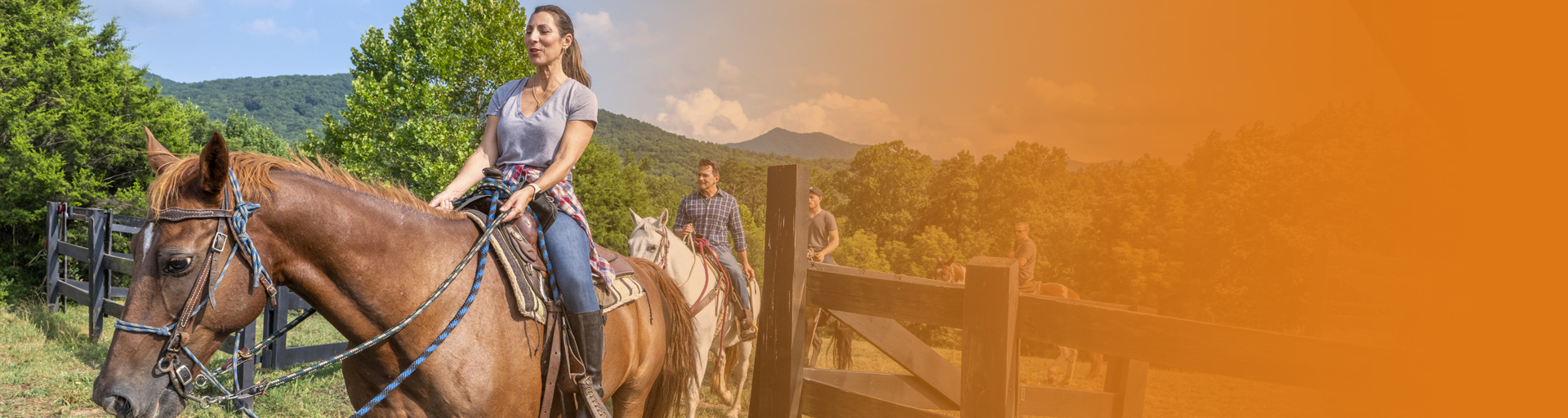 Slideshow Slide Brasstown Valley (1920x512px)